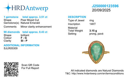 HRD Antwerp laboratory report J250000123596