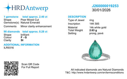 HRD Antwerp laboratory report J260000019253