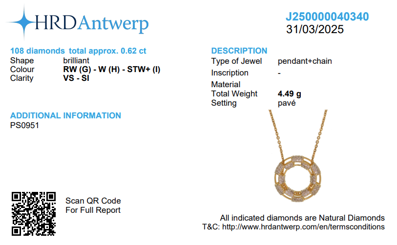 Diamond Circle Pendant Necklace