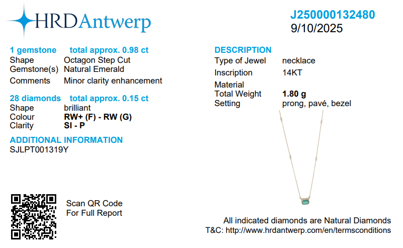 Emerald Cut Pendant Necklace