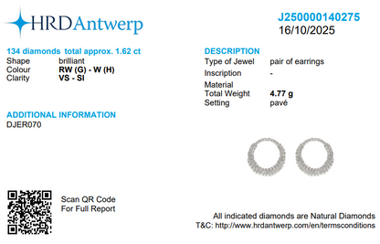 Circle Diamond Hoop Earrings