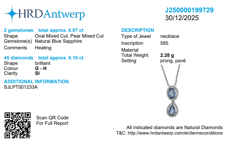 Blue Sapphire Natural Diamonds Halo Pendant Necklace