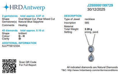 Blue Sapphire Natural Diamonds Halo Pendant Necklace