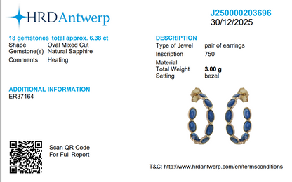 Natural Blue Sapphire J-Hoop Earrings