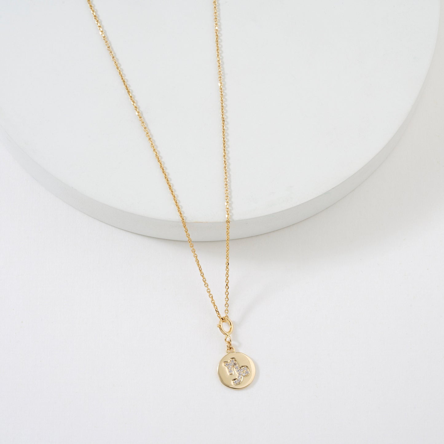 Capricorn Horoscope Birth Sign Charm