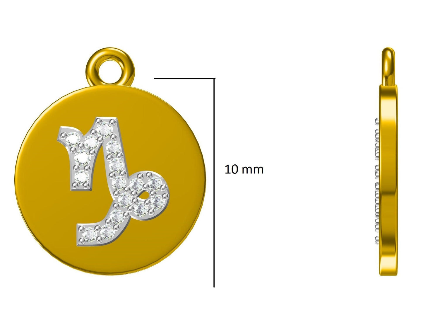 Capricorn Horoscope Birth Sign Charm