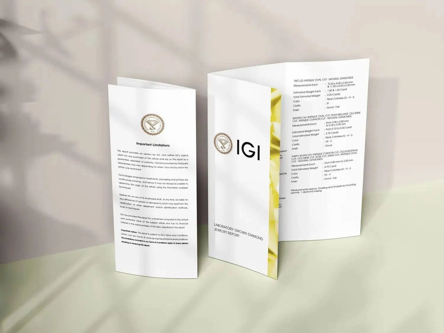 IGI Certified 1ct Lab Grown Diamond Ring