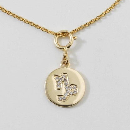 Capricorn Horoscope Birth Sign Charm