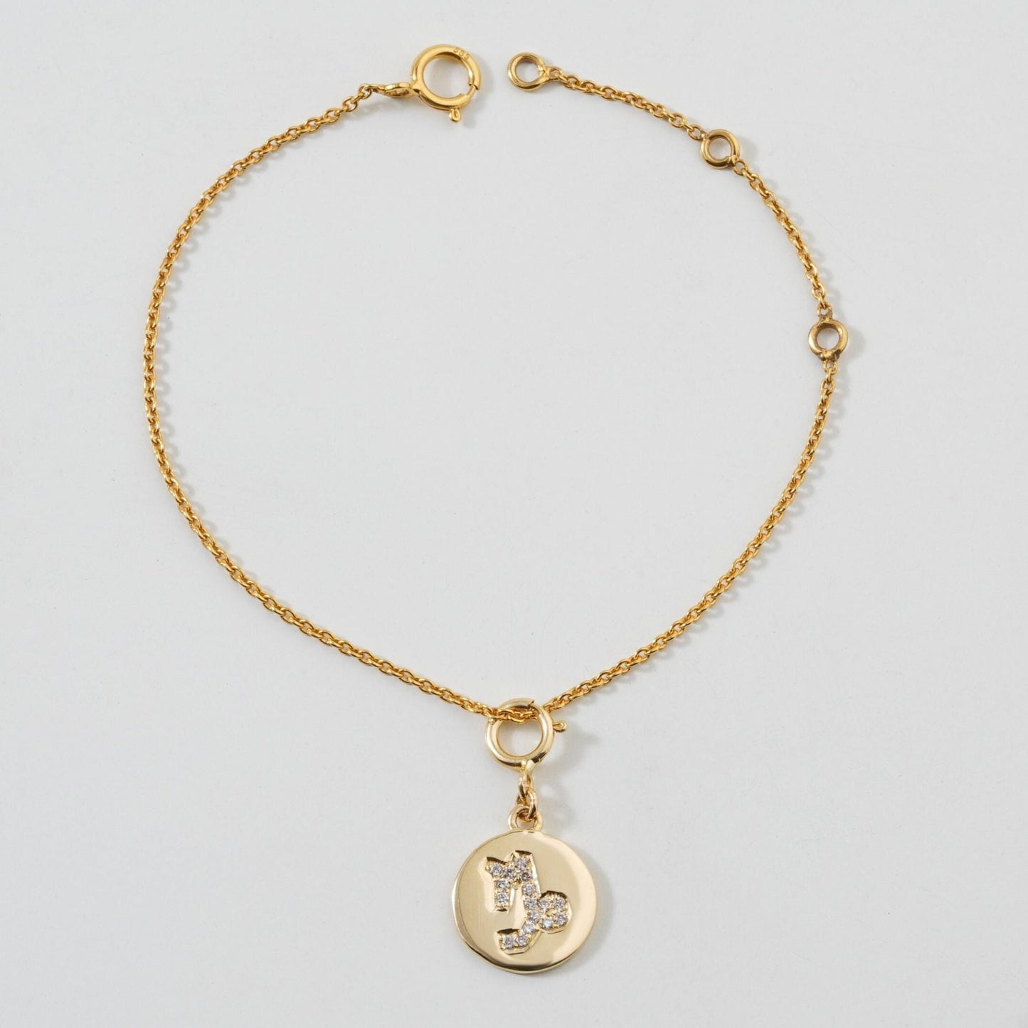 Capricorn Horoscope Birth Sign Charm