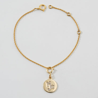 Capricorn Horoscope Birth Sign Charm