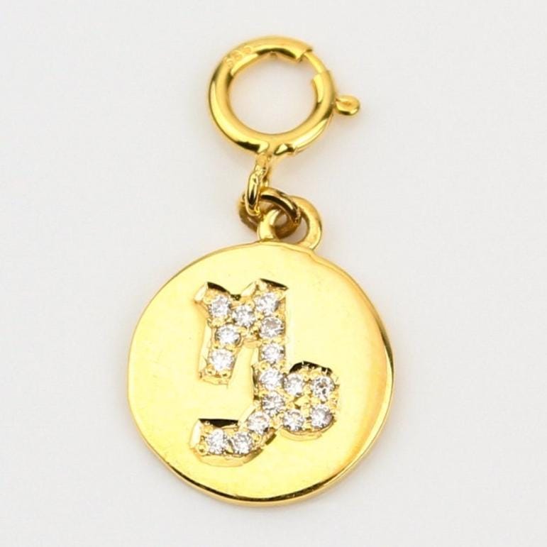 Capricorn Horoscope Birth Sign Charm